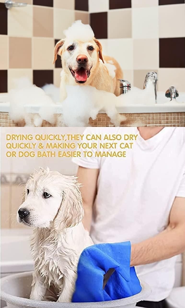 🐕✨ Anti-Itch Dog Shampoo | Ditch the Itch 300ml (Pack of 2)