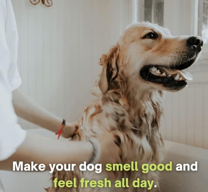 🐕✨ Anti-Itch Dog Shampoo | Ditch the Itch 300ml (Pack of 2)